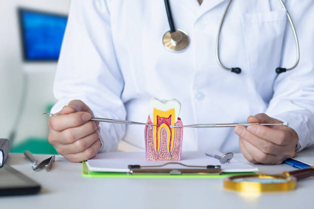 Best Urgent Dental Care for Toothaches in Rutherford, PA